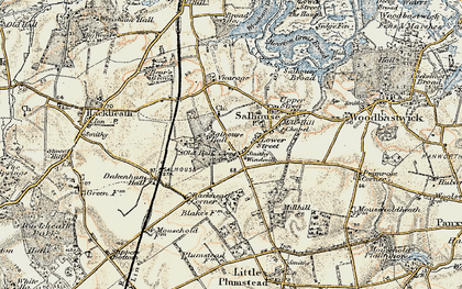 Old map of Salhouse in 1901-1902