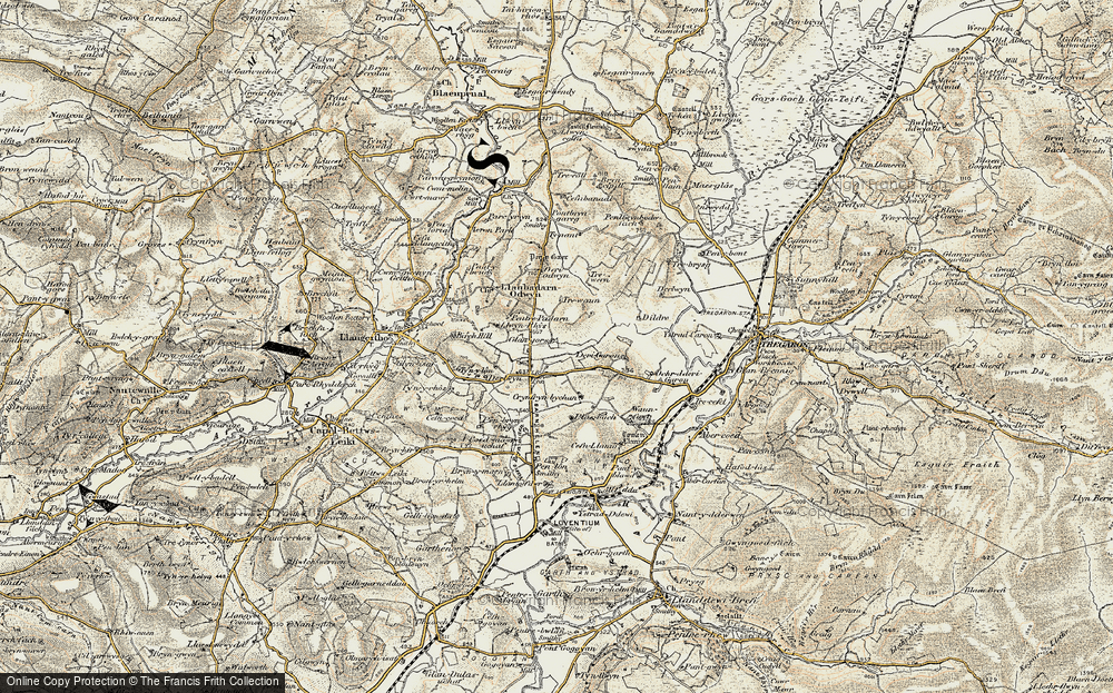Stags Head, 1901-1903