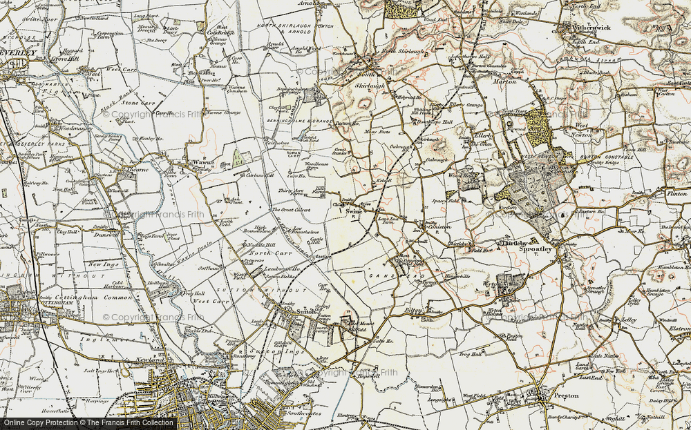 Swine, 1903-1908
