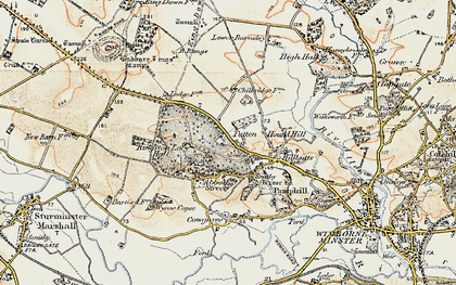 Old map of Wynne Copse in 1897-1909