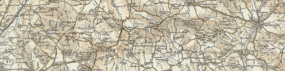 Old map of Bettiscombe Manor Ho in 1898-1899
