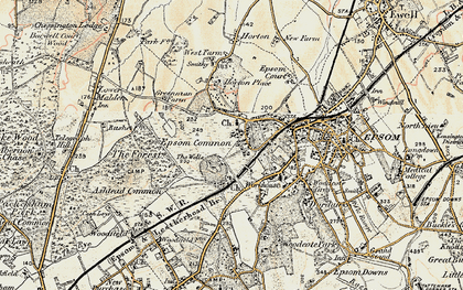Old map of Woodcote Stud in 1897-1909