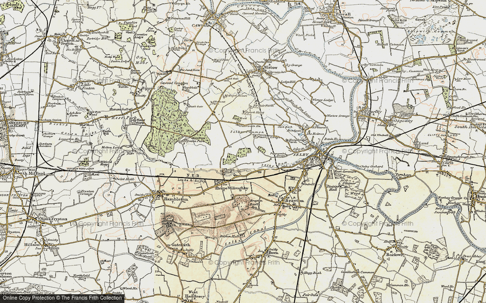 Old Map of Thorpe Wood, 1903 in 1903
