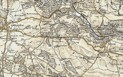 Old map of Bradley Elms in 1902
