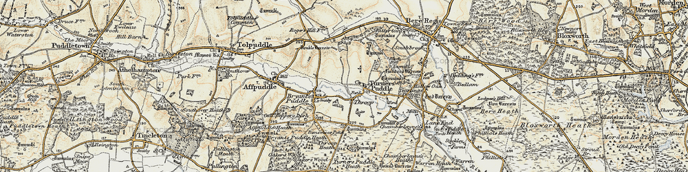 Old map of Tonerspuddle Heath in 1899-1909