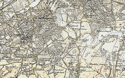 Old map of Tilford Reeds in 1897-1909