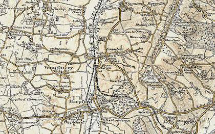 Old map of Tipton St John in 1899