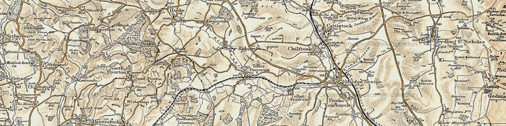 Old map of Toller Porcorum in 1899