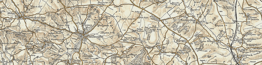 Old map of Toller Down in 1899