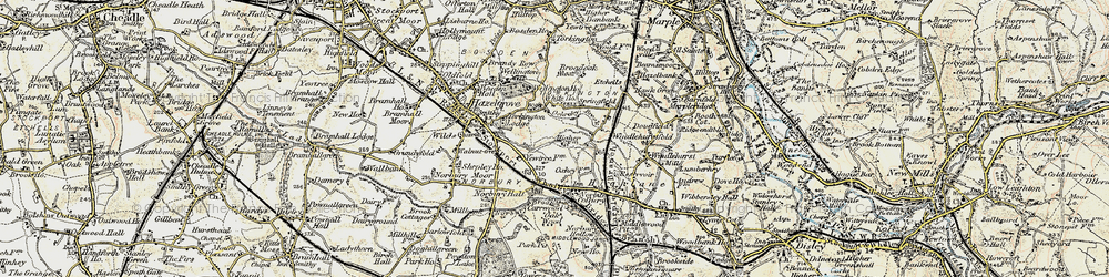 Old map of Torkington in 1903