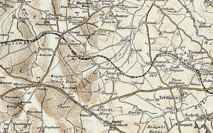 Old map of Treneglos in 1900