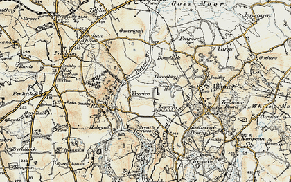 Old map of Trerice Manor in 1900