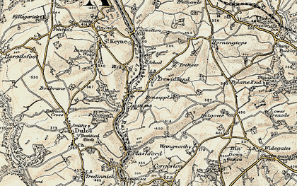 Old map of Trewidland in 1900