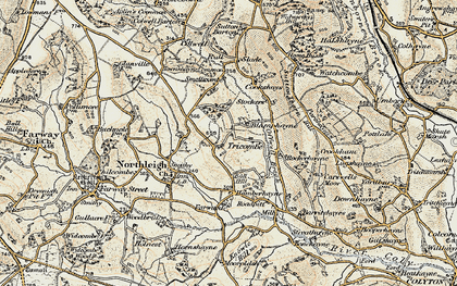 Old map of Tricombe in 1898-1900