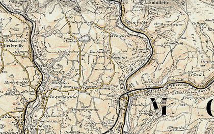 Old map of Trinant in 1899-1900