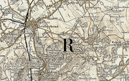Old map of Tyrell's Wood in 1897-1909