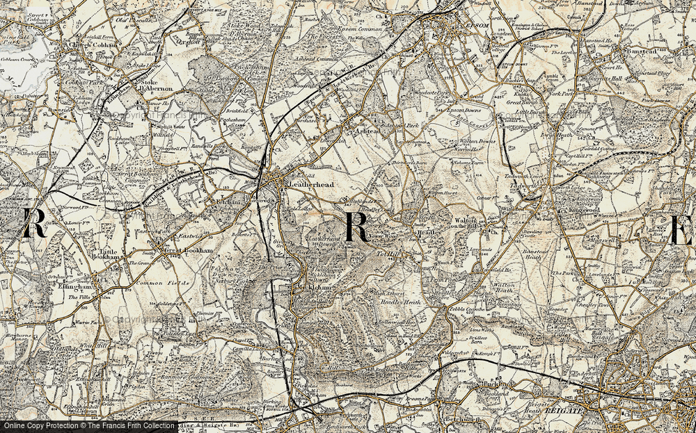 Tyrell's Wood, 1897-1909