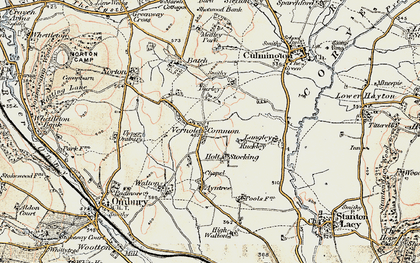 Old map of Vernolds Common in 1901-1903