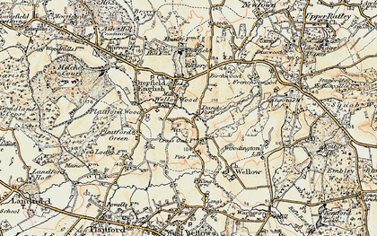 Old map of Wellow Wood in 1897-1909
