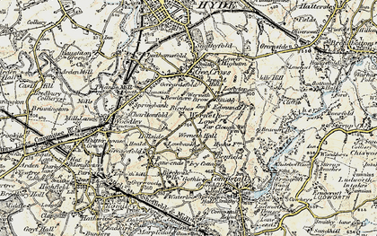 Old map of Beacom Houses in 1903