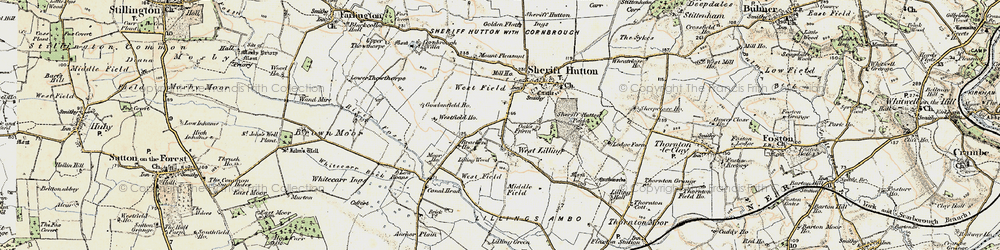 Old map of Lilling Wood in 1903-1904