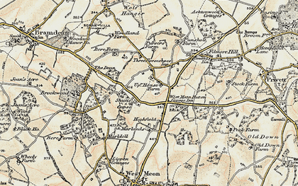 Old map of West Meon Woodlands in 1897-1900