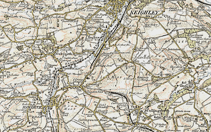 Old map of Whins Wood in 1903-1904