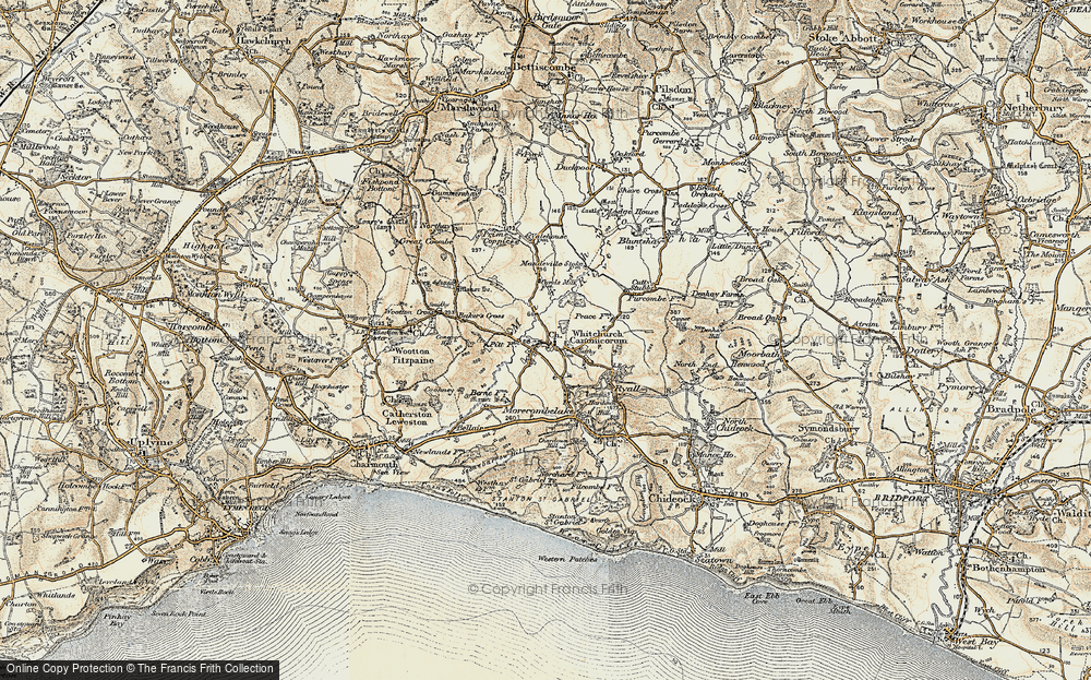 Old Map of Whitchurch Canonicorum, 1898-1899 in 1898-1899