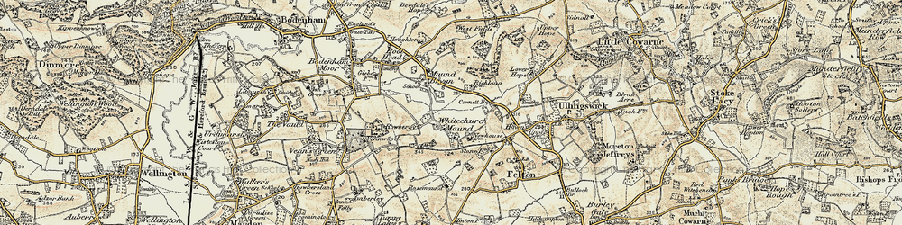 Old map of Whitechurch Maund in 1899-1901