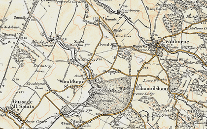 Old map of Wimborne St Giles in 1897-1909
