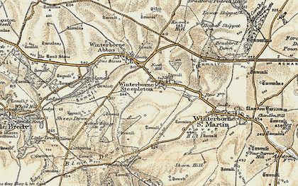 Old map of Winterbourne Steepleton in 1899