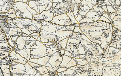 Old map of Woodbury Salterton in 1899