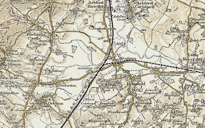Old map of Woofferton in 1901-1902
