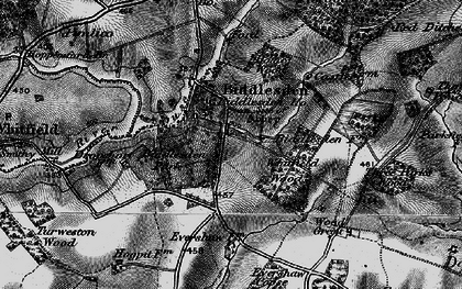 Old map of Whitfield Wood in 1896