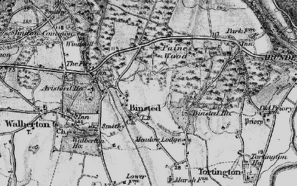 Old map of Binsted Wood in 1895