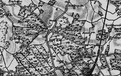 Old map of Bromley Green in 1895