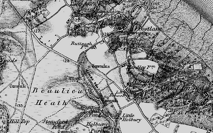 Old map of Buttsash in 1895