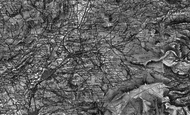 Cotton Tree, 1898