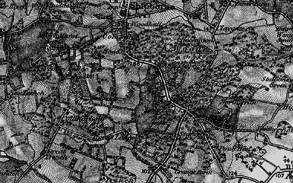 Old map of Dene Park in 1895