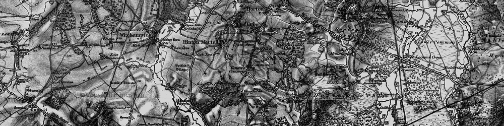 Old map of Gaunt's Common in 1895