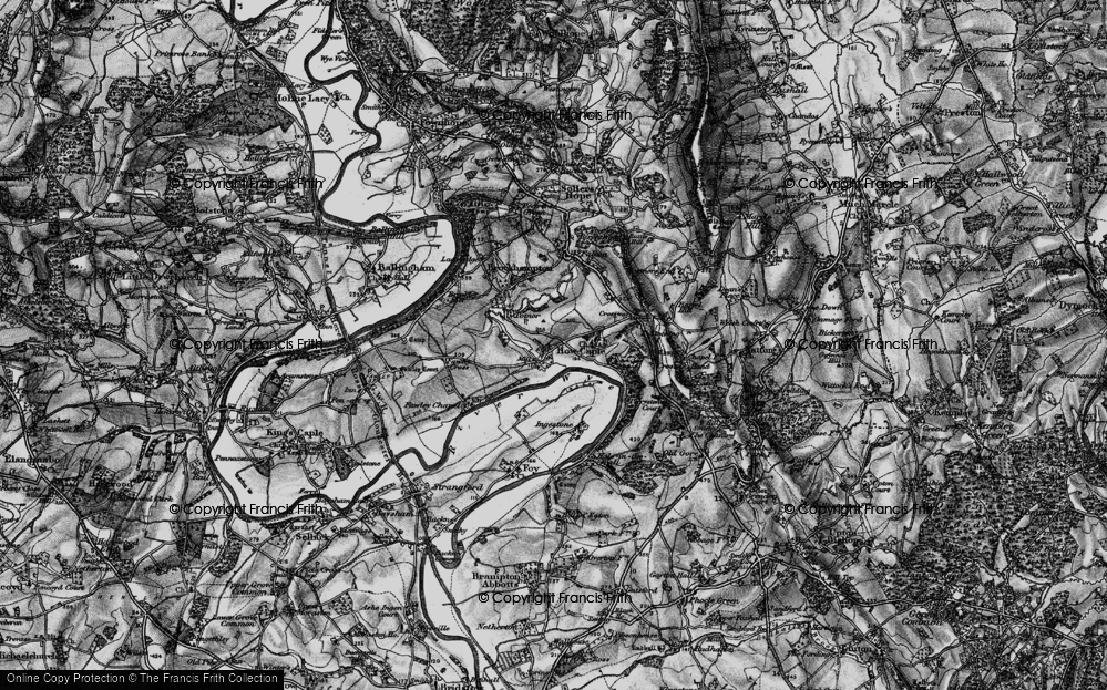 Old Map of Hales Wood, 1896 in 1896