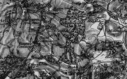 Old map of Holt Wood in 1895