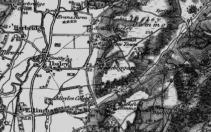 Old map of Whitefield Plantn in 1895