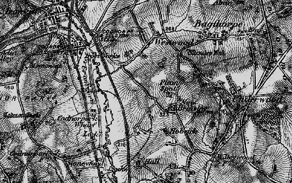 Old map of New Brinsley in 1895