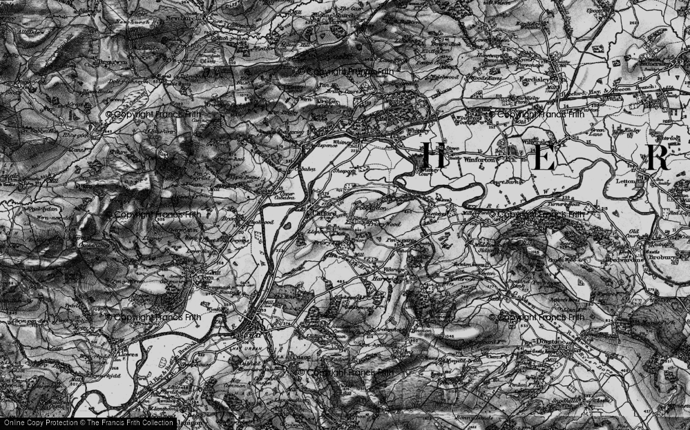 Priory Wood, 1896