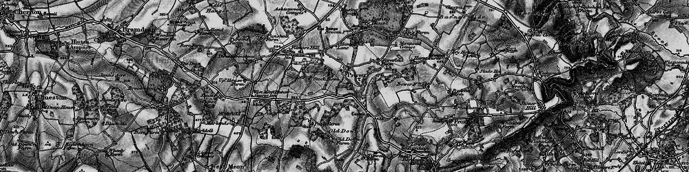 Old map of Privett in 1895