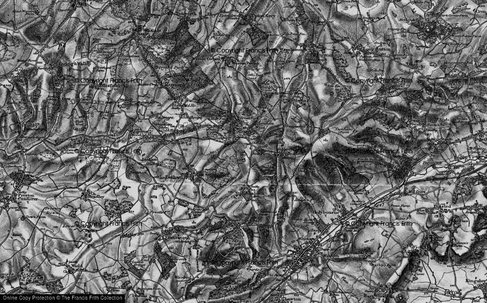 Old Map of Shalden Green, 1895 in 1895