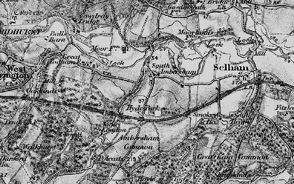 Old map of Ambersham Common in 1895