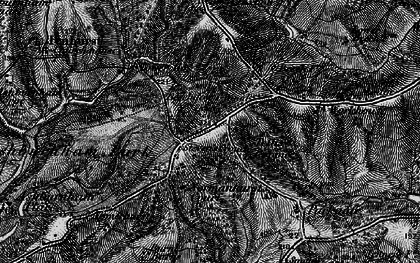 Old map of Beechdown Wood in 1895
