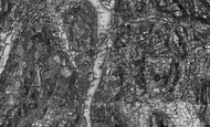Storrs, 1897